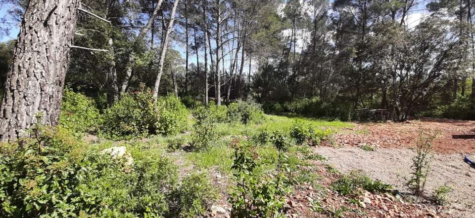 Terrain à TRANS-EN-PROVENCE