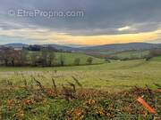 Terrain à MARTRES-TOLOSANE