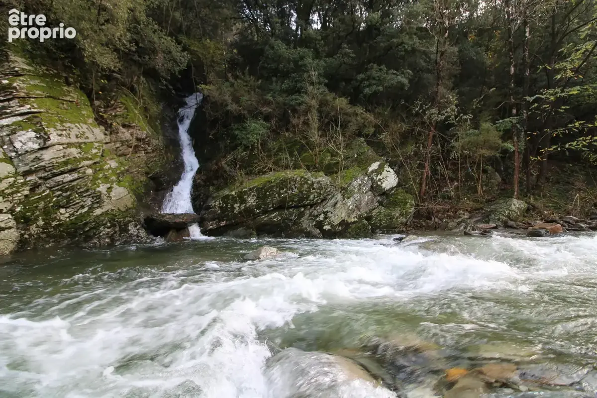 MAS 360 de volume + 25 hectares. - photo 132