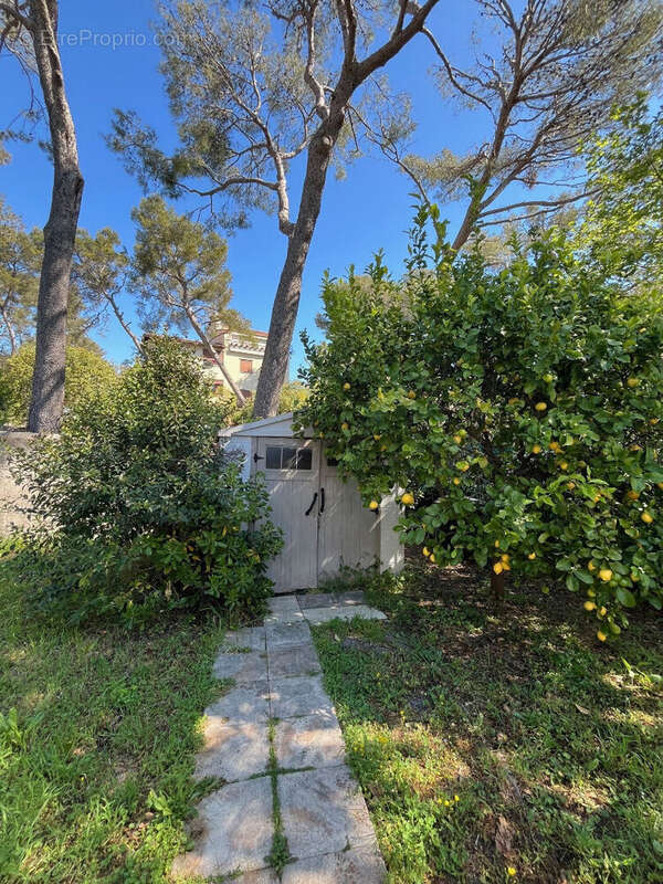Appartement à VILLENEUVE-LOUBET