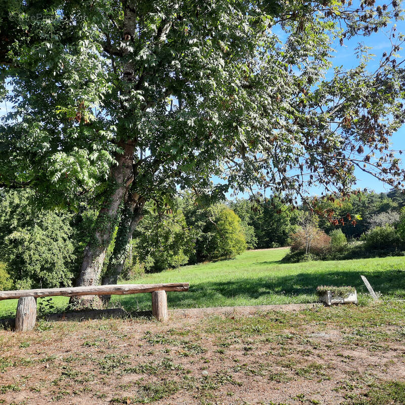 Terrain à ESCOUTOUX