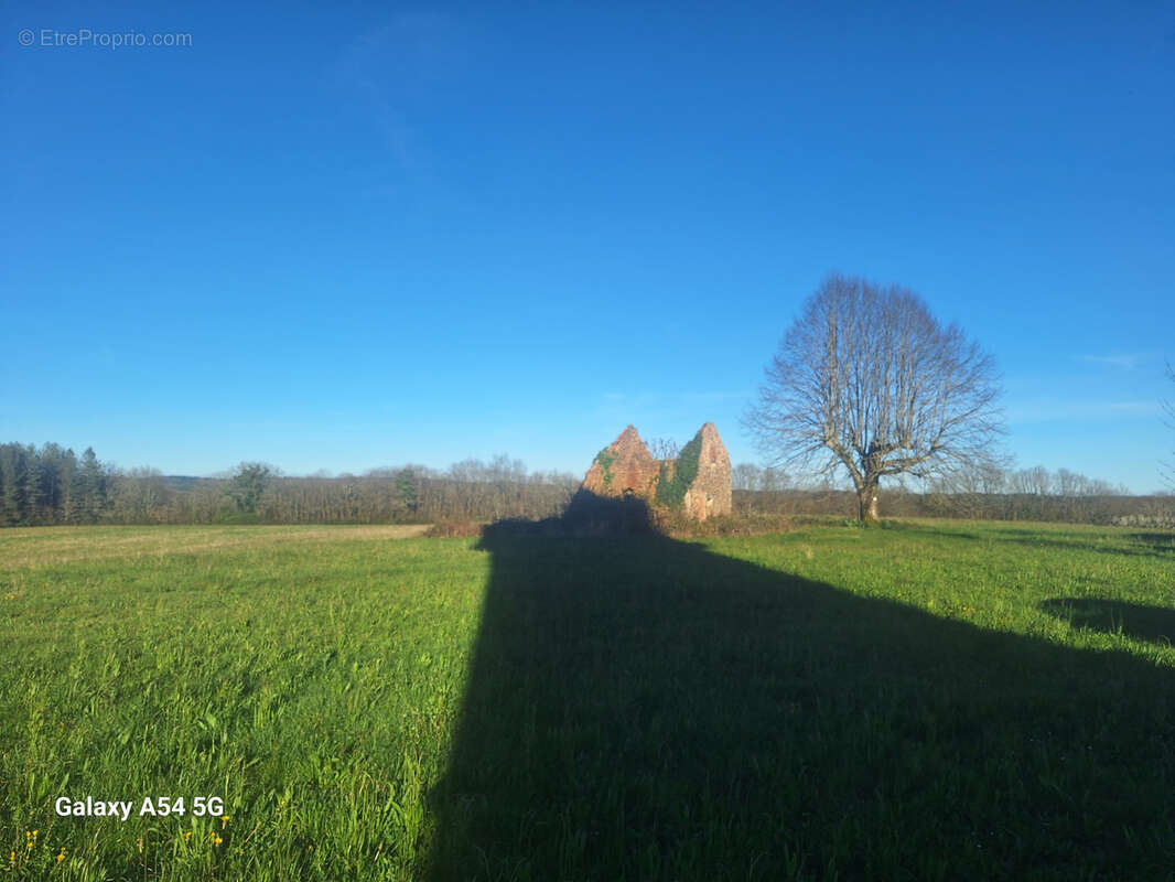 Ruine avec 3 ha - photo 2