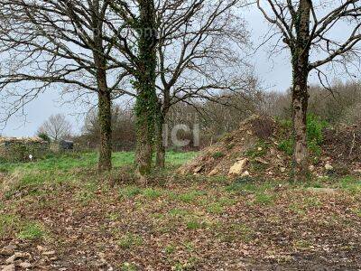 Terrain à SAINT-LYPHARD