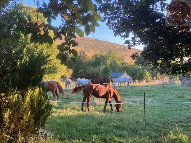 Maison à MAS-SAINT-CHELY