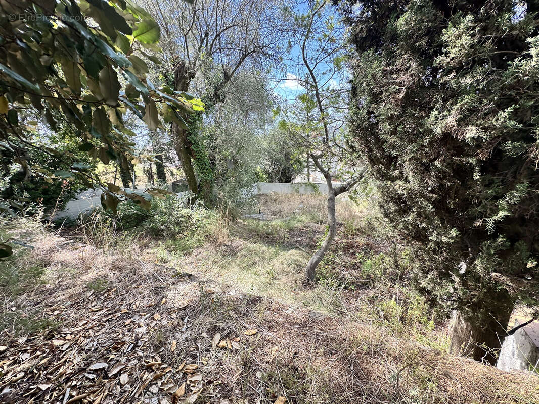 Terrain à SAINT-ANDRE-DE-LA-ROCHE