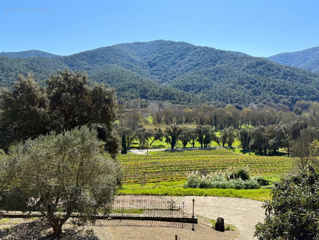 Commerce à SAINT-TROPEZ