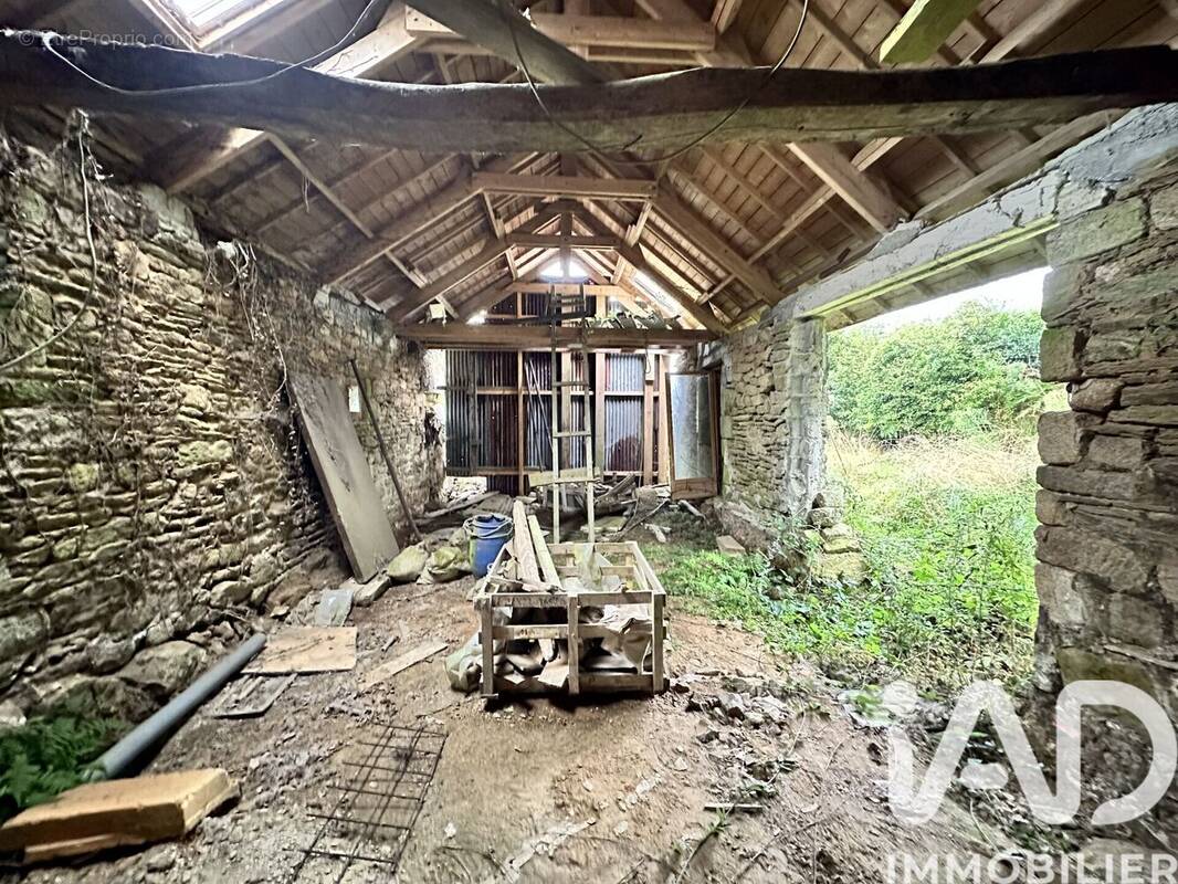 Photo 1 - Appartement à ELLIANT