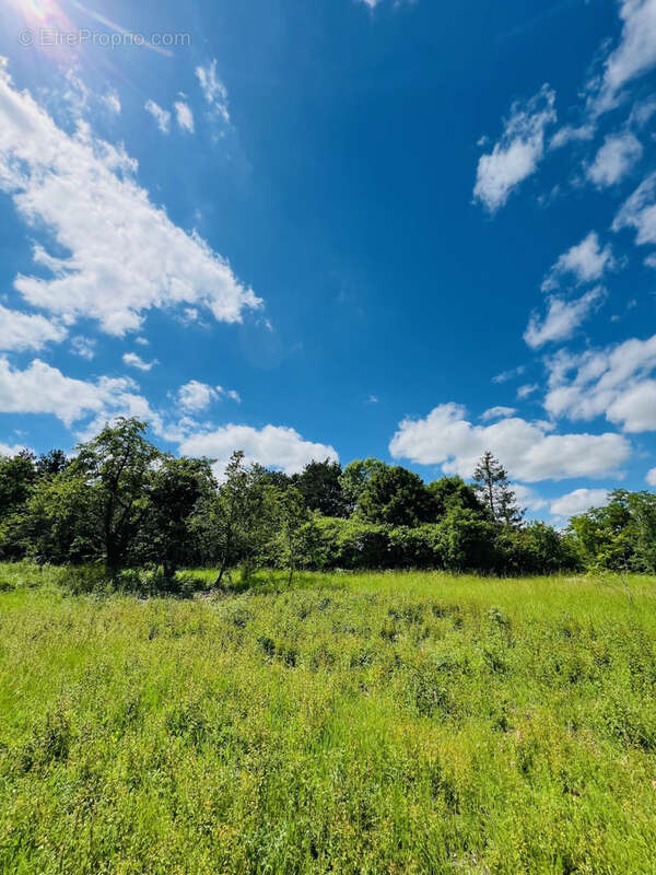 Terrain à MIGNE-AUXANCES