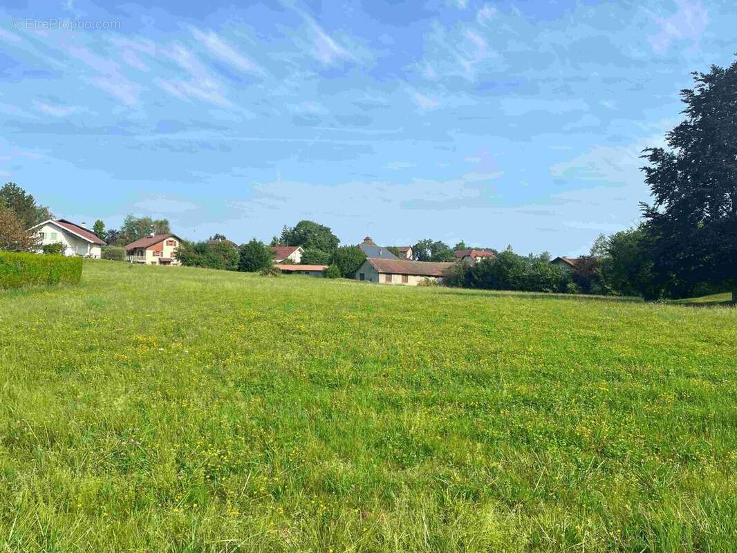 Terrain à SEYNOD