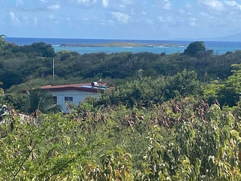 Terrain à SAINTE-ANNE