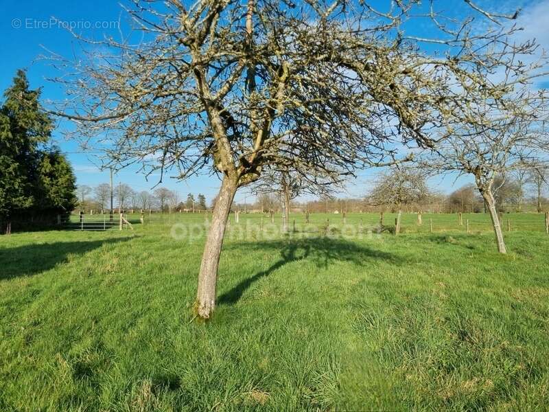  exclusivité – rare à la vente ! bâtisse à vendre - photo 3