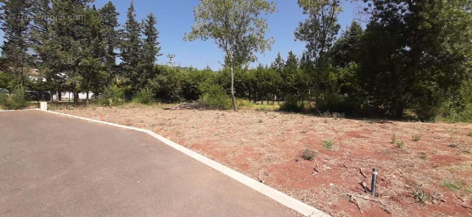 Terrain 300 m² à Le Luc  - photo 3