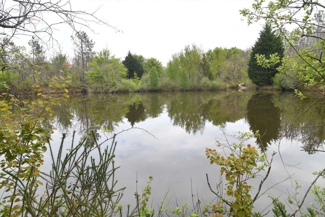 Maison de quatre chambres avec 14 hectares et un lac. - photo 2