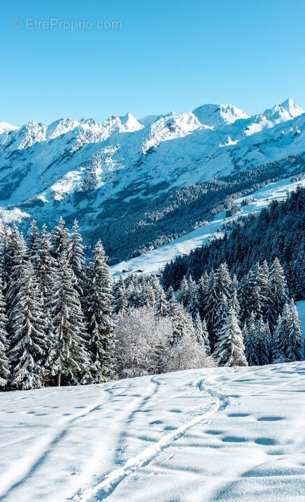 Commerce à LA CLUSAZ