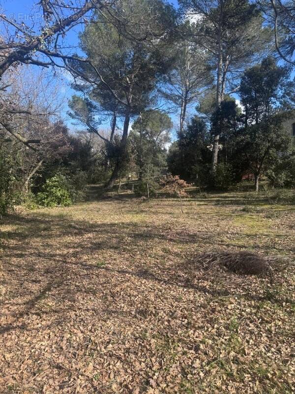 Terrain à LA ROQUE-D'ANTHERON