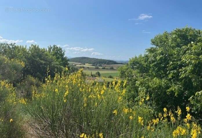 Terrain à MONTELEGER