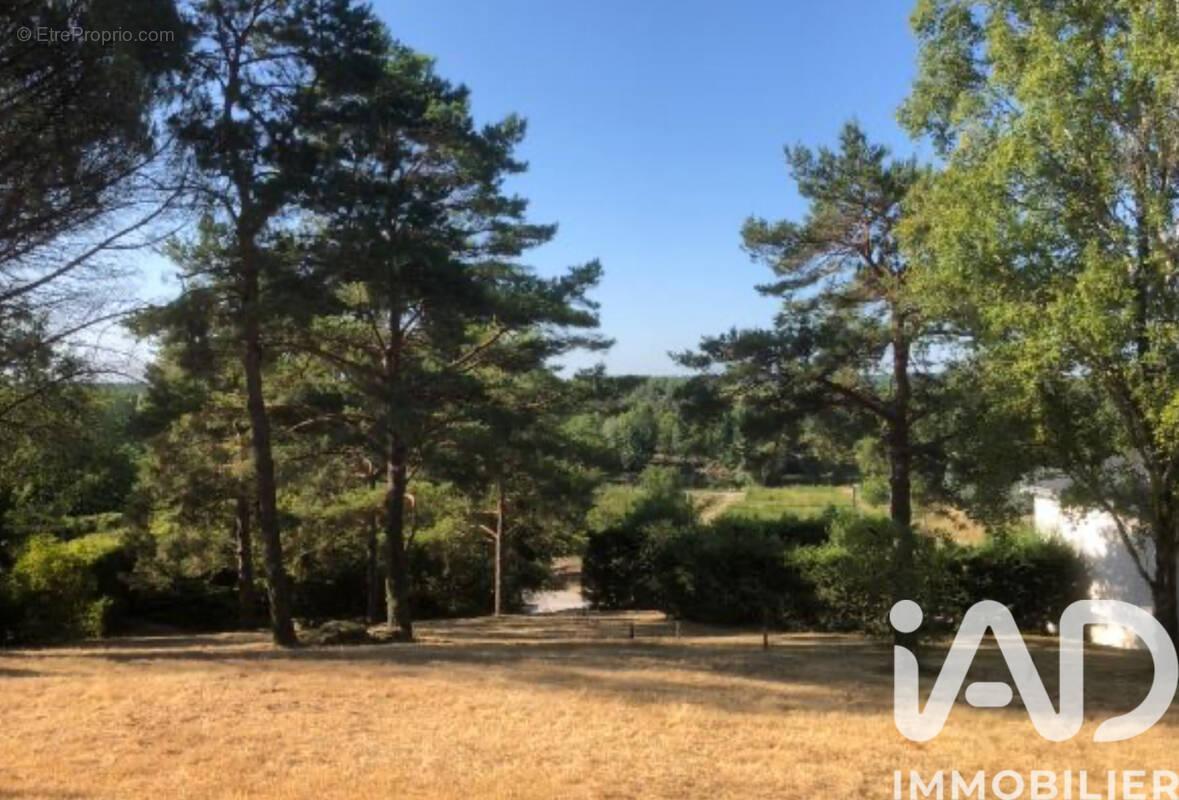 Photo 1 - Terrain à CHISSAY-EN-TOURAINE