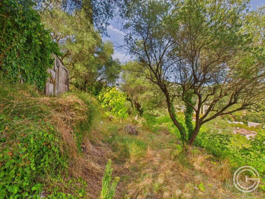 Terrain Constructible - 1.329m² - Chemin de Rimiez - ST ANDRE DE LA ROCHE - photo 2