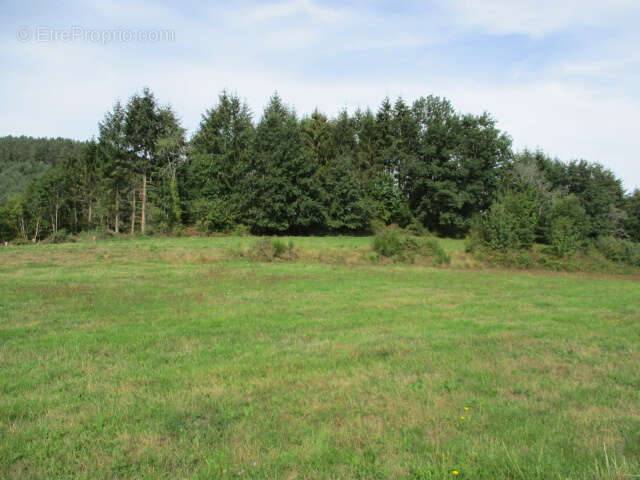 Terrain à BRUYERES