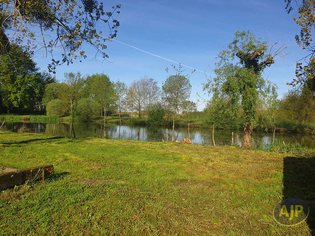 Terrain Montaigu Vendee 5810 m2 - photo 2
