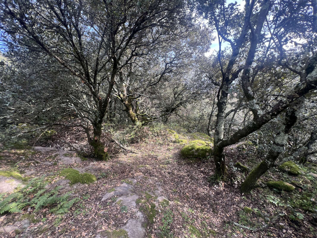 Terrain à SAINT-PERAY