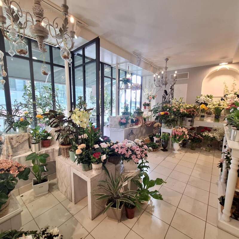 Photo 4 - Commerce à LE CREUSOT