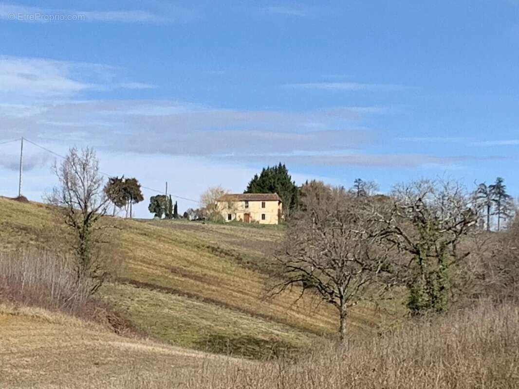 Une charmante ferme gasconne avec une vue imprenable sur les Pyrénées. - photo 35