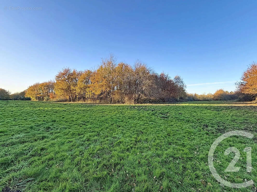 Maison à MENESTREAU-EN-VILLETTE