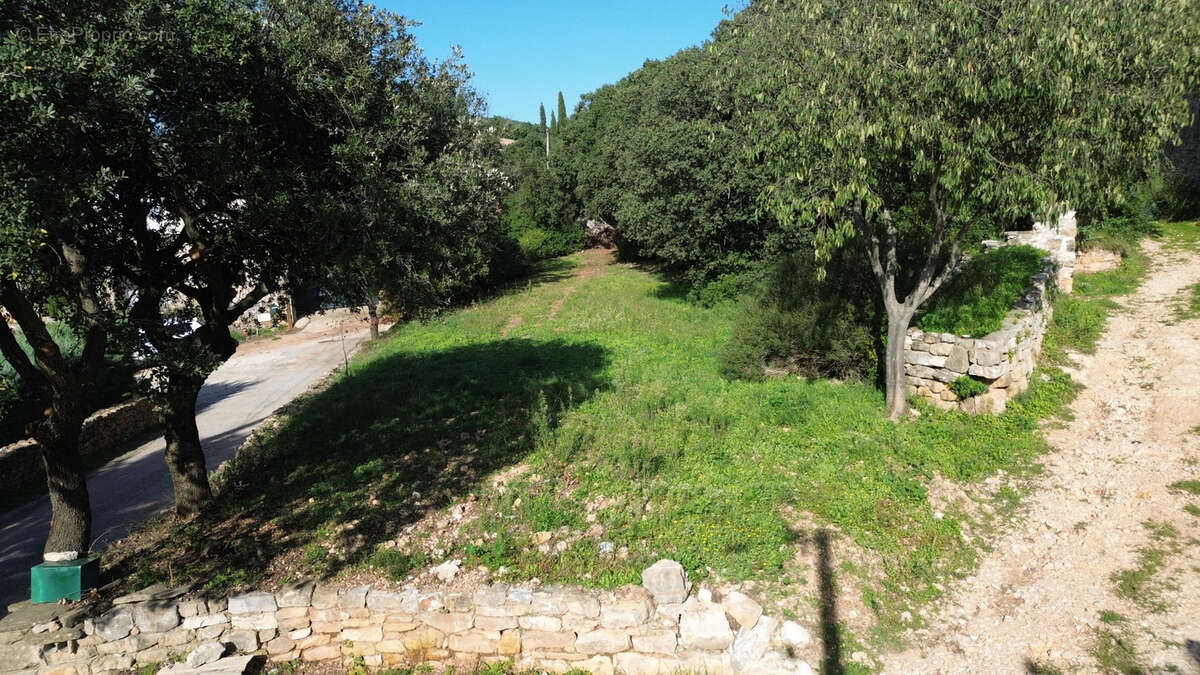 Terrain à PUECHABON