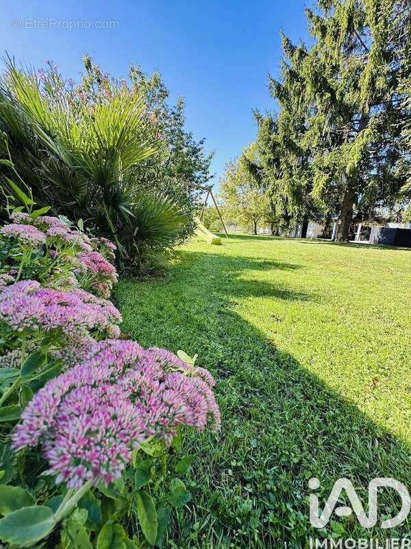Photo 8 - Maison à SAINTE-MAURE-DE-TOURAINE