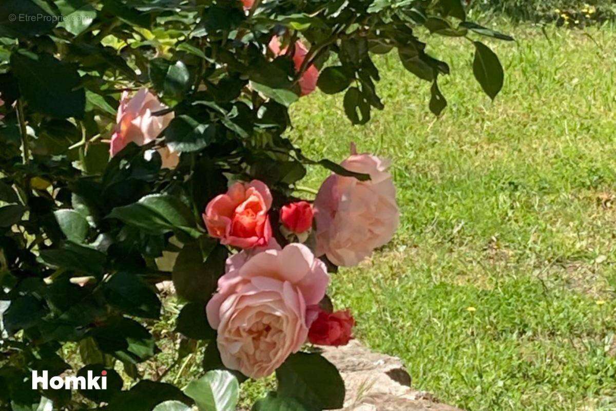 Maison à MURVIEL-LES-BEZIERS