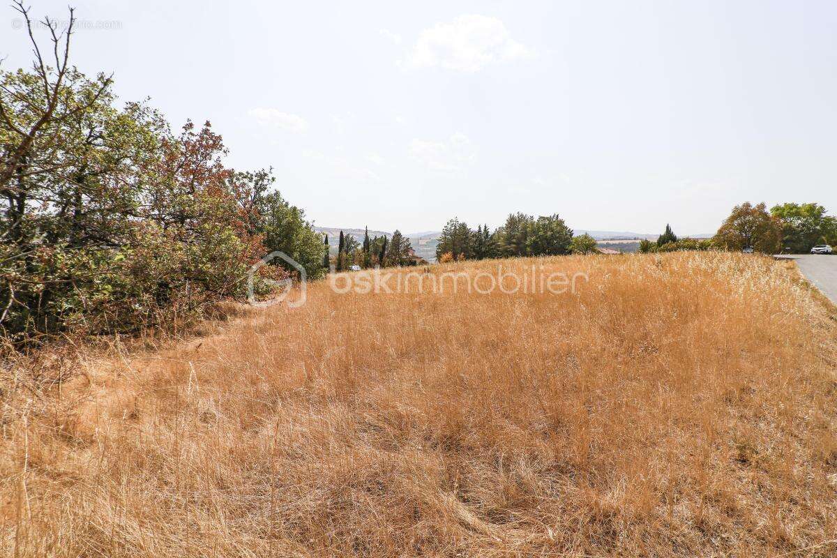 Terrain de 3 500 m² pour votre projet de rêve ! - photo 5