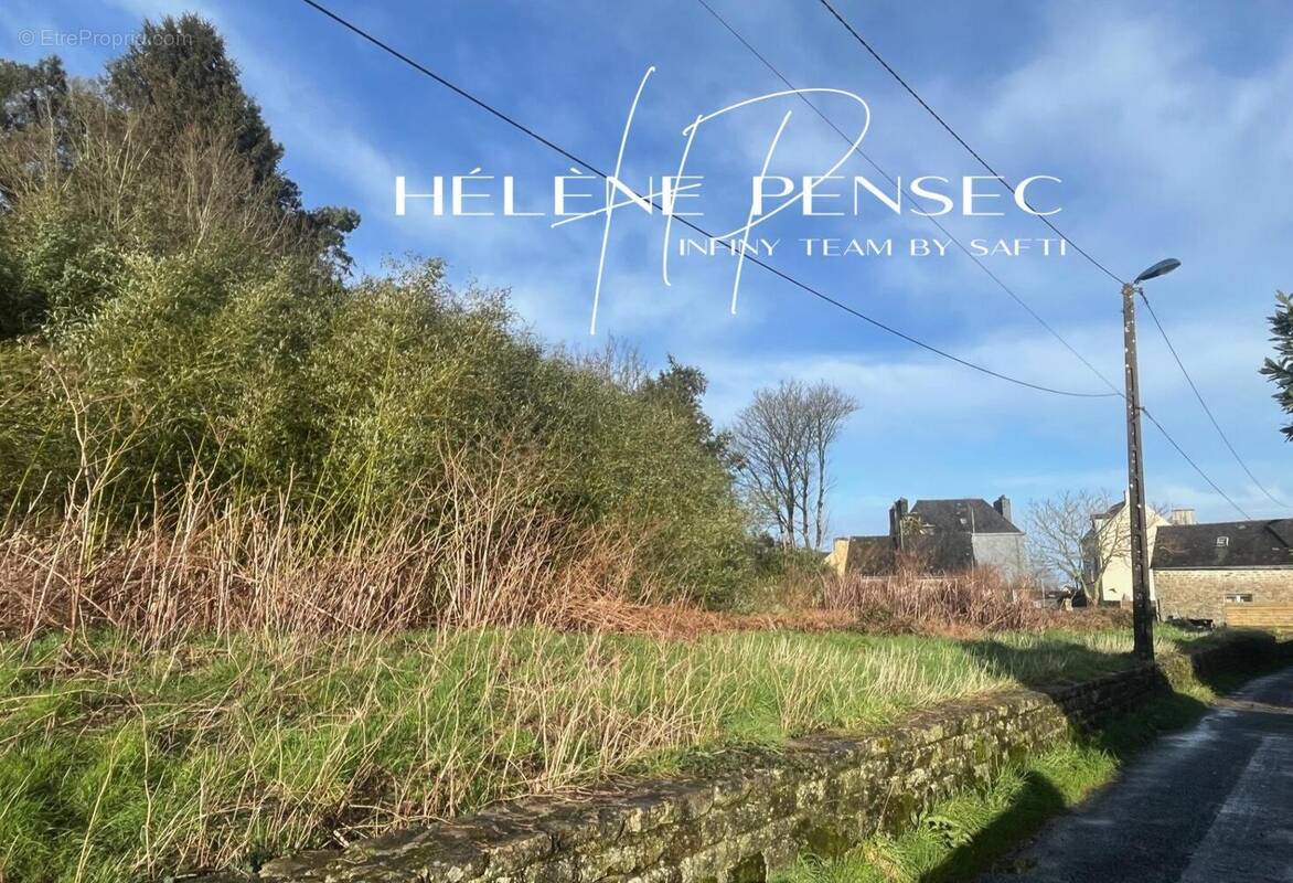 Photo 1 - Terrain à SCAER