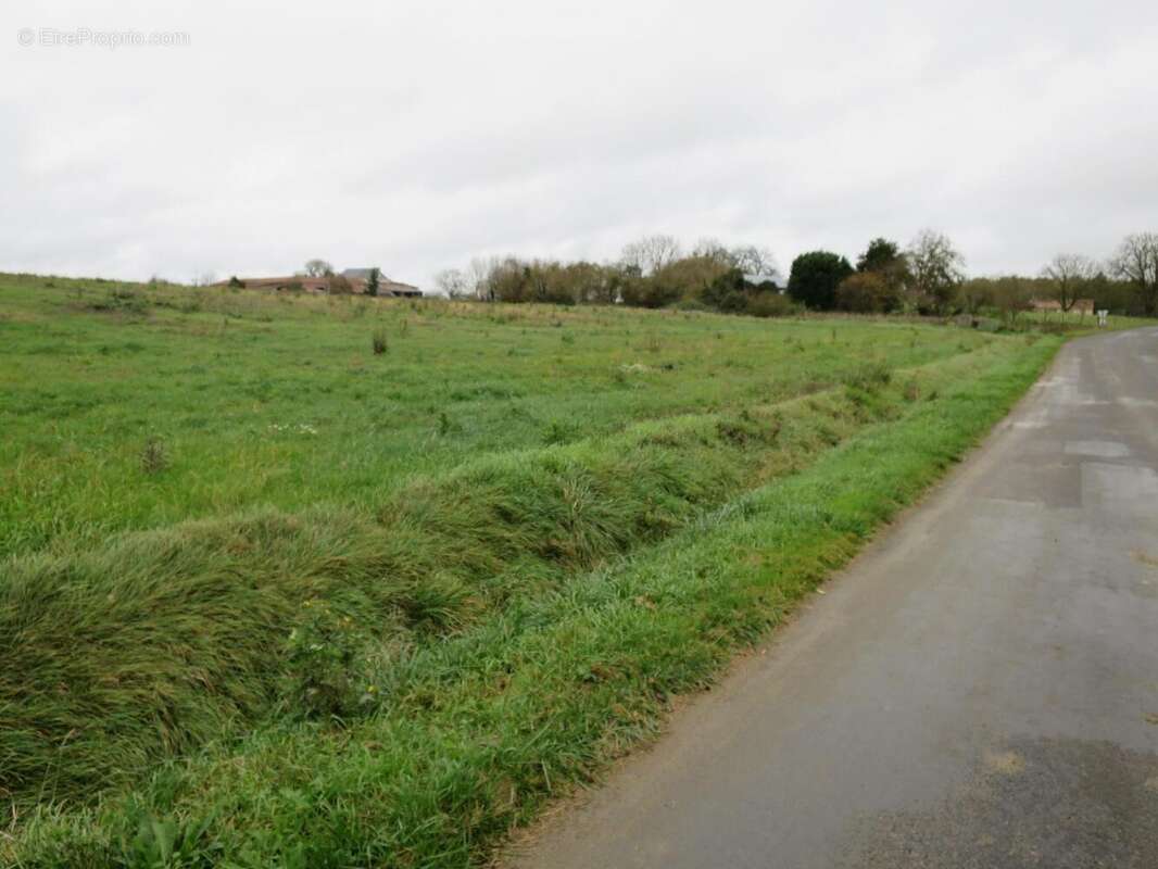 Terrain 1066 m² à Doussay  - photo 3