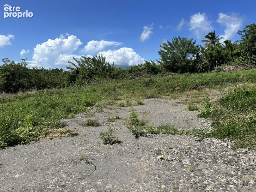 A vendre : terrain 750m² au carbet (97221) - photo 5