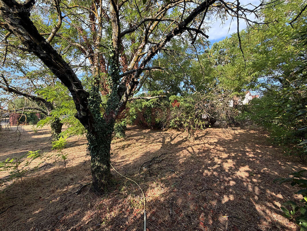 Terrain constructible 600 m² - photo 2