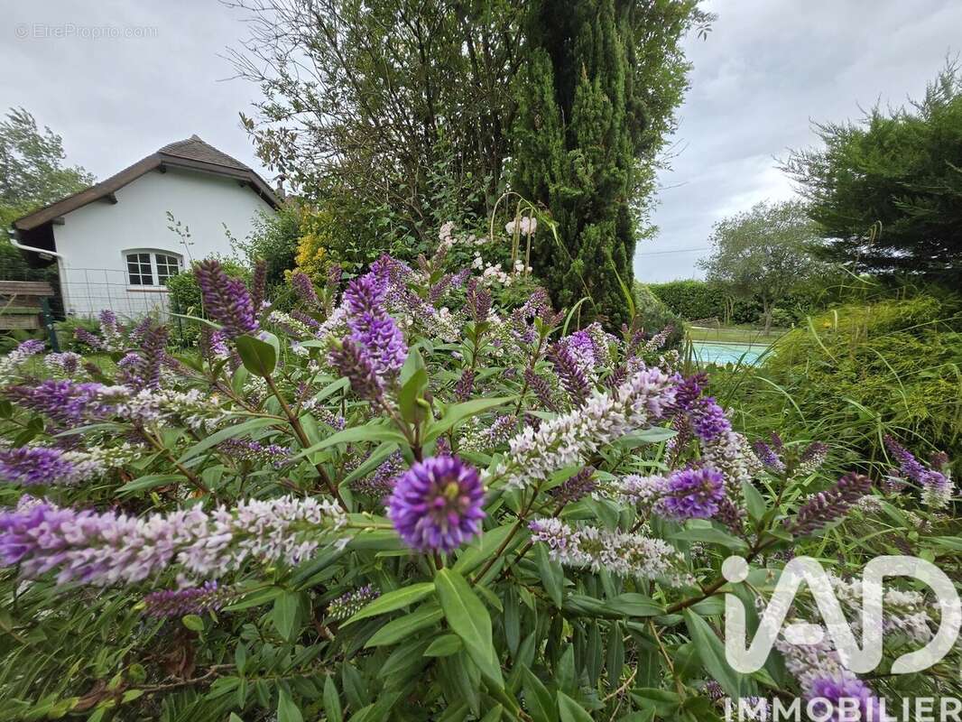 Photo 7 - Maison à NAVAILLES-ANGOS
