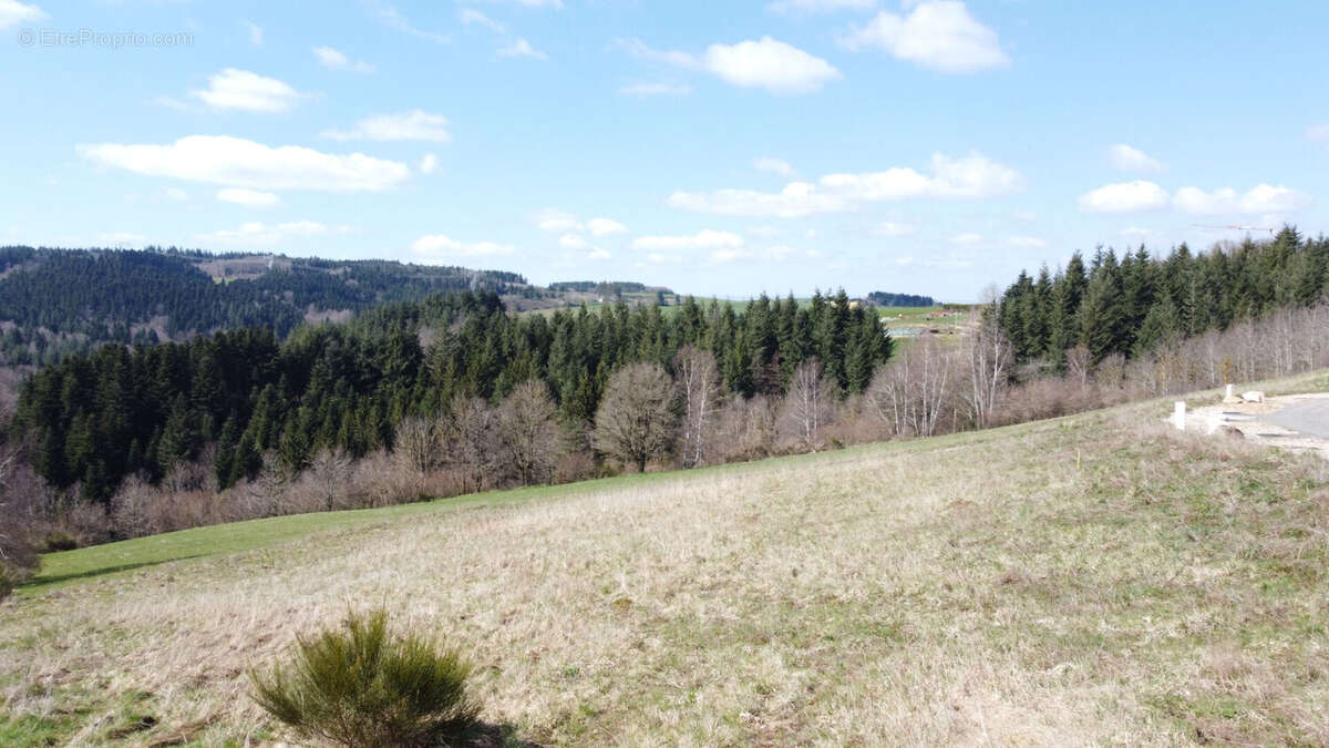 Terrain à SAINT-ROMAIN-LES-ATHEUX