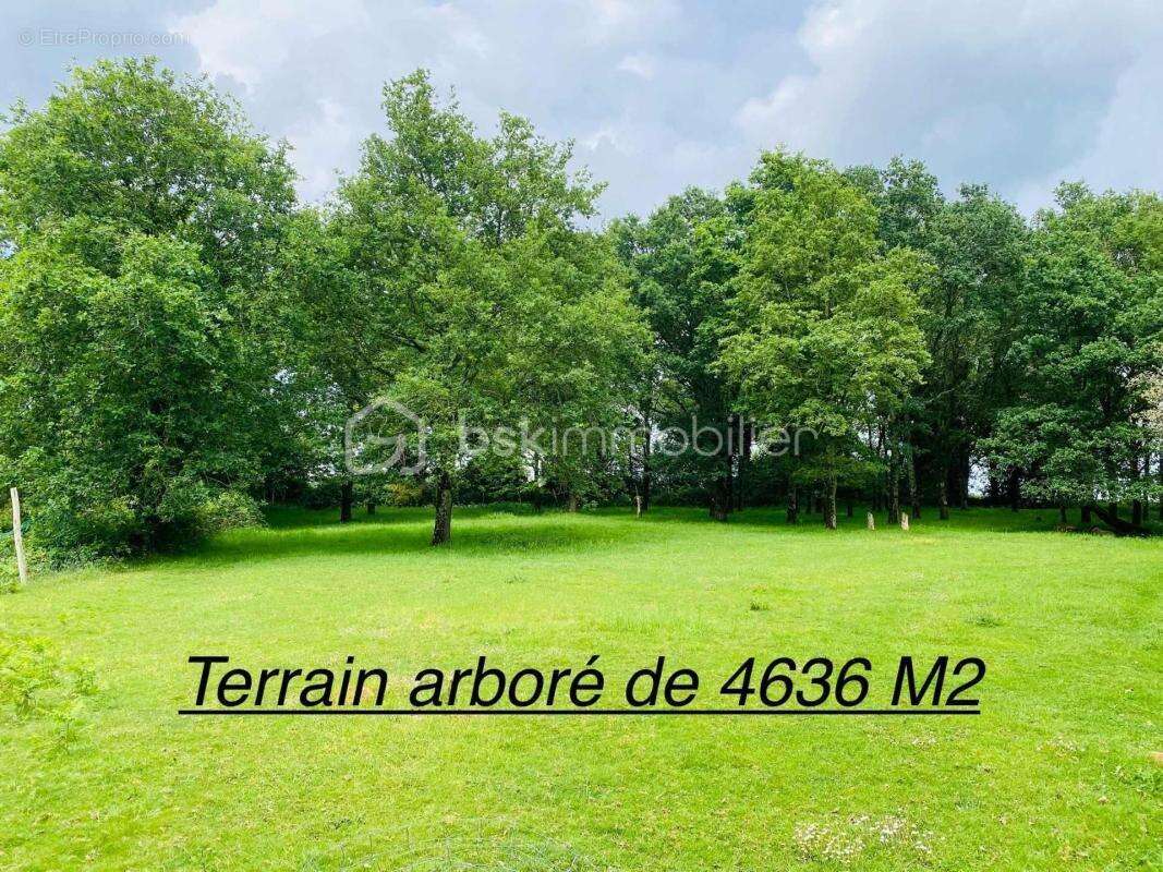 Maison de Village de 187 M² (Loyat 56800) - photo 2