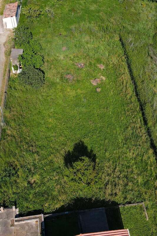 Photo 3 - Maison à SARROLA-CARCOPINO