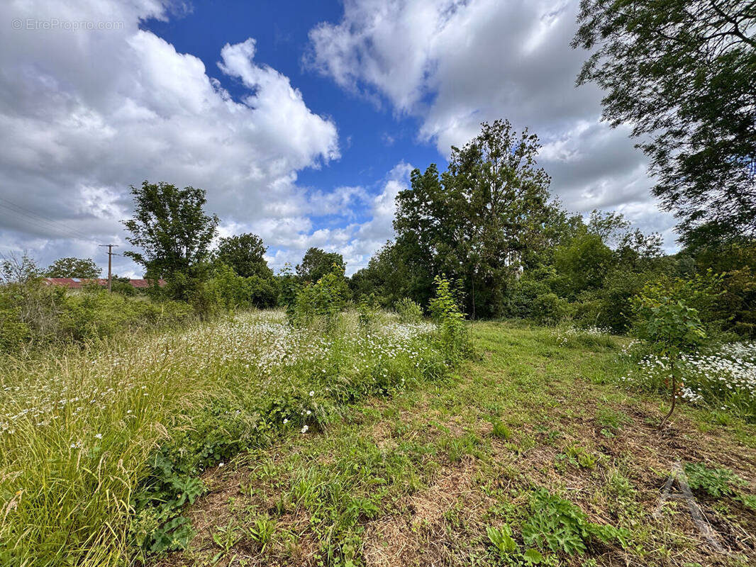 Terrain à CHAUSSOY-EPAGNY