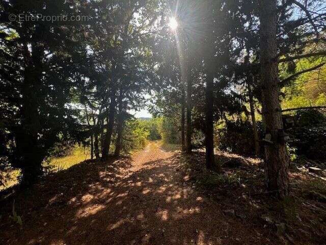 Vente Maison Soubes(34700) 162 000ï¿œ - photo 2