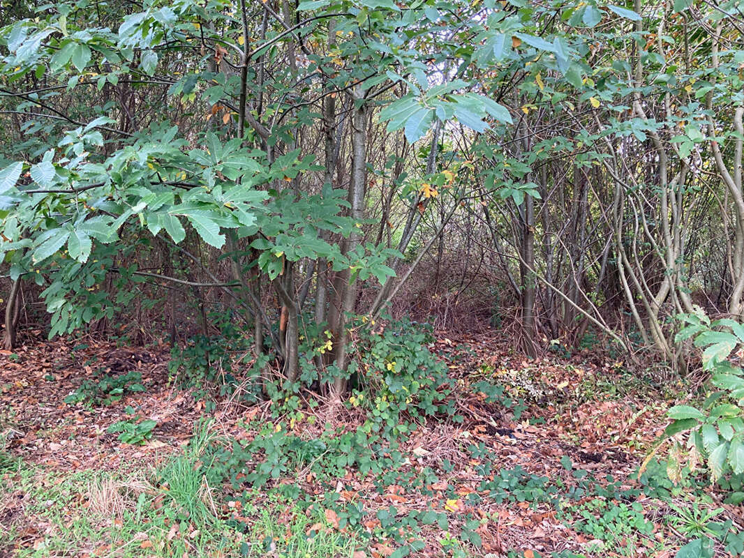 Terrain à PONTIVY