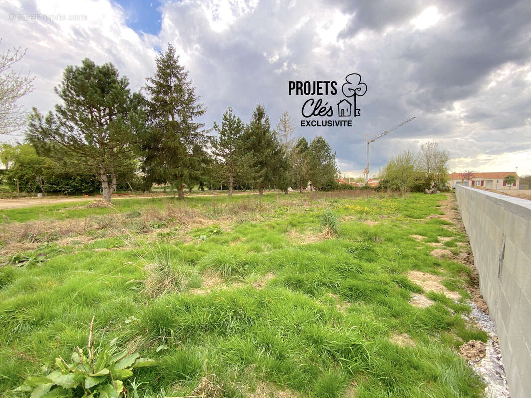 Terrain constructible de 650m2 centre-ville - photo 5