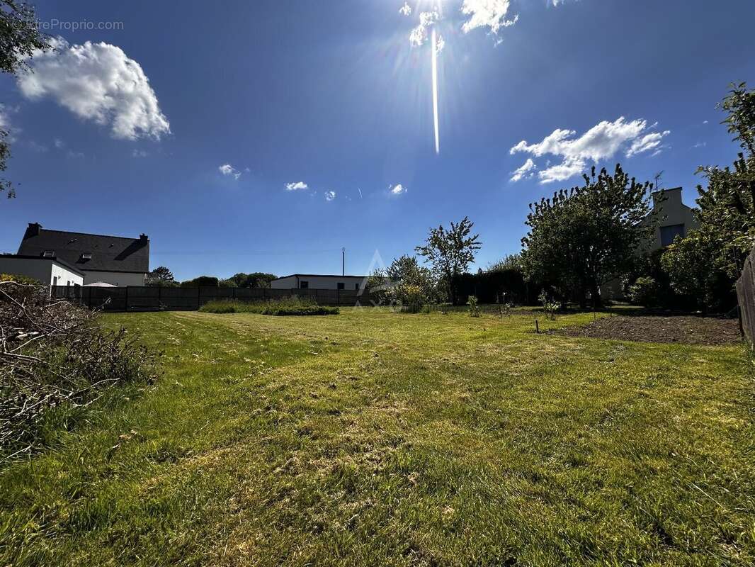 Terrain à LOCOAL-MENDON