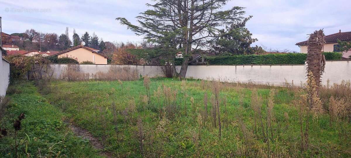 Terrain à TOUSSIEU