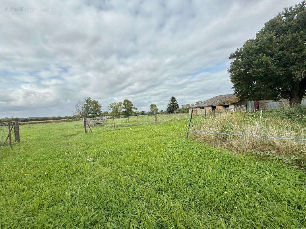 Terrain à PERRIGNY-SUR-L'OGNON