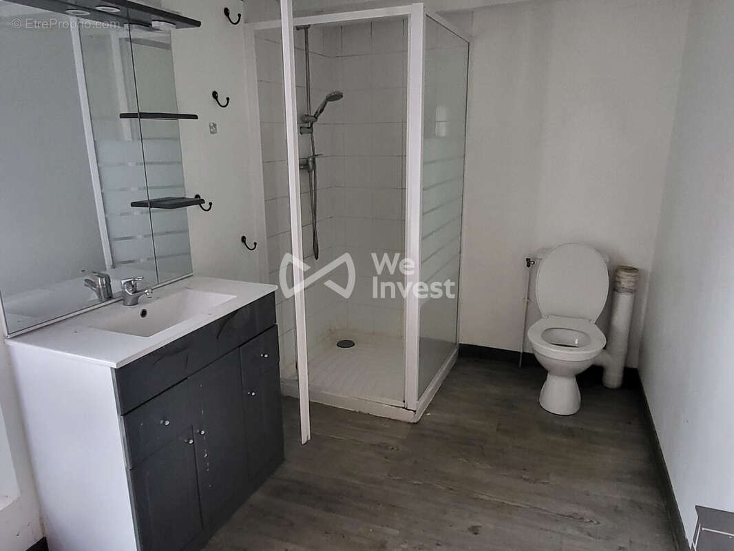 Salle d'eau avec WC - Maison à SABLONNIERES