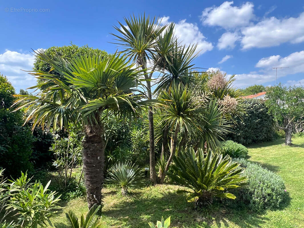 Maison à TALMONT-SAINT-HILAIRE