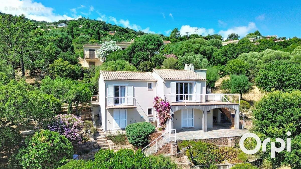 Maison à CONCA